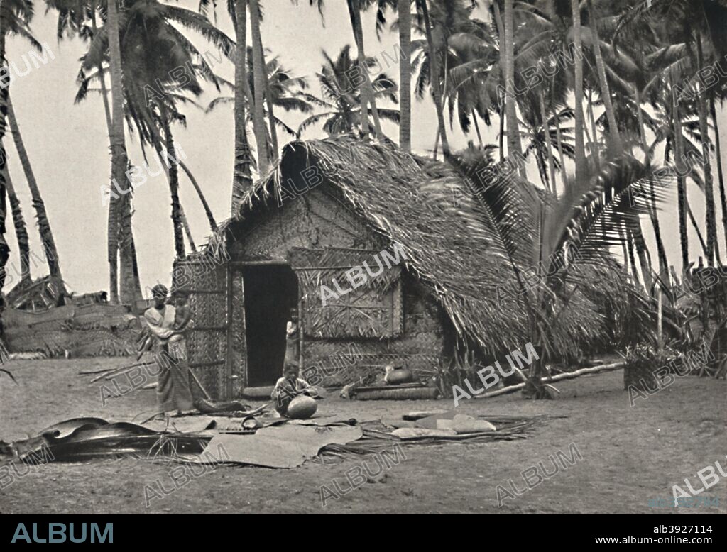 'Kokospalmen und Einngeborenenhutte aus Kokosblattern (An den Stammen links, angebundene Blatter gegn unbefugtes Hinaufklettern)', 1926. Coconut palms and a native hut of coconut leaves. From Der Indische Kulturkreis in Einzeldarstellungen. [Georg Muller, Munich, 1926].