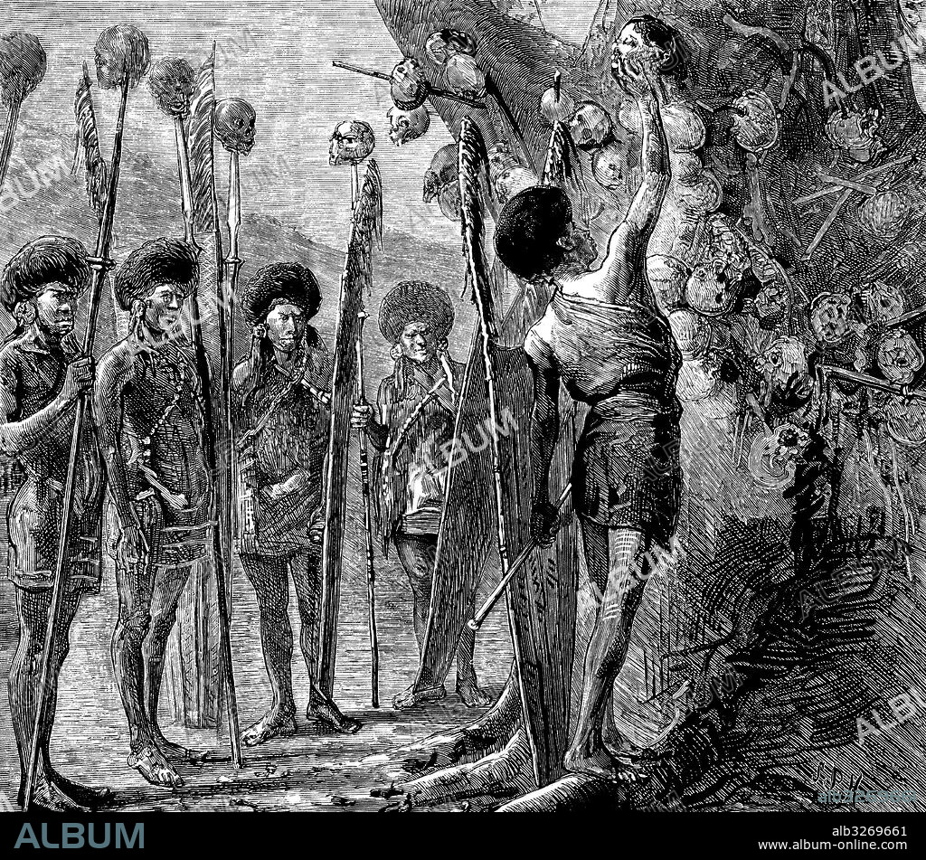 Asia. Birmania. Costumbre salvaje de la tribu de los Nagas, habitantes de Assan. Cabezas decapitadas por los guerreros jóvenes con las que adornan un corpulento árbol. Grabado de 1879.