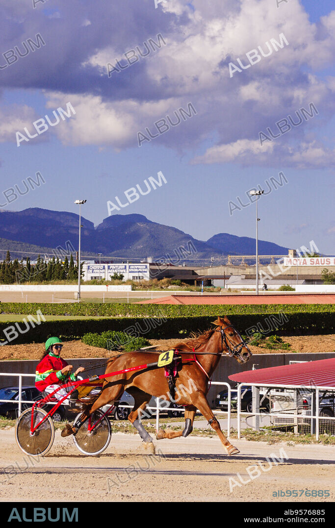 gran premio de hipica, hipodromo de Son Pardo, Palma,mallorca, islas baleares, Spain, europa.