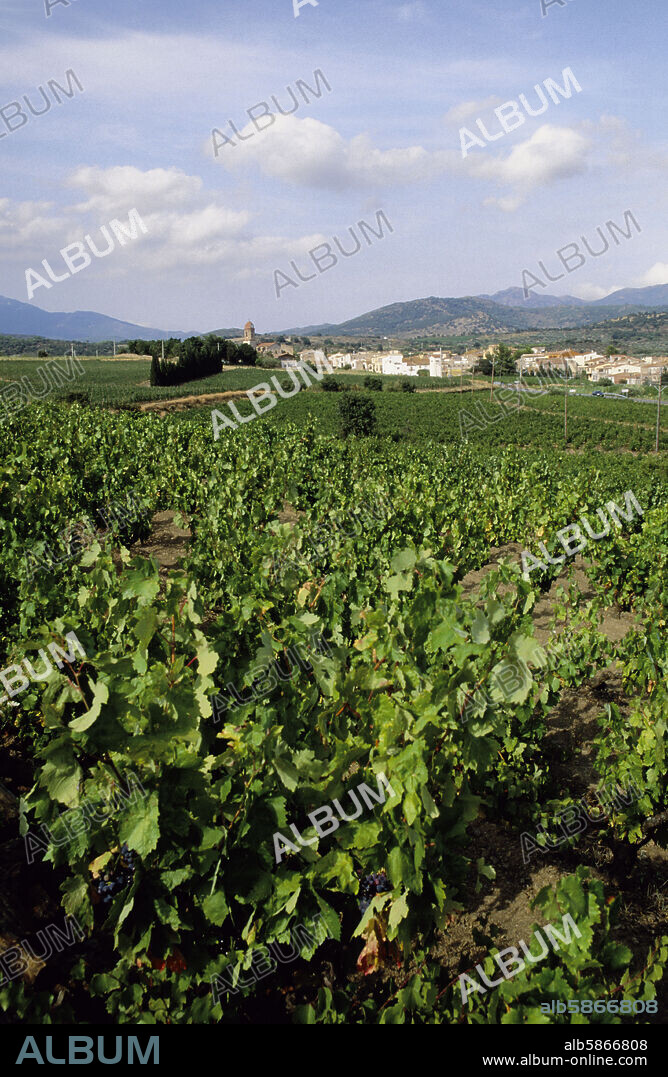 Espolla; pueblo y viñedos (D.O Empordà - Costa Brava).
