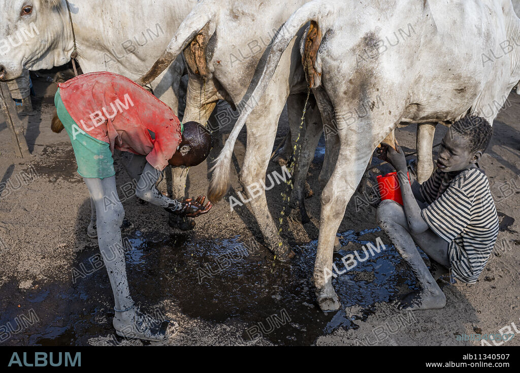 Man washing himself in cow pee, Mundari tribe, South Sudan, Africa.