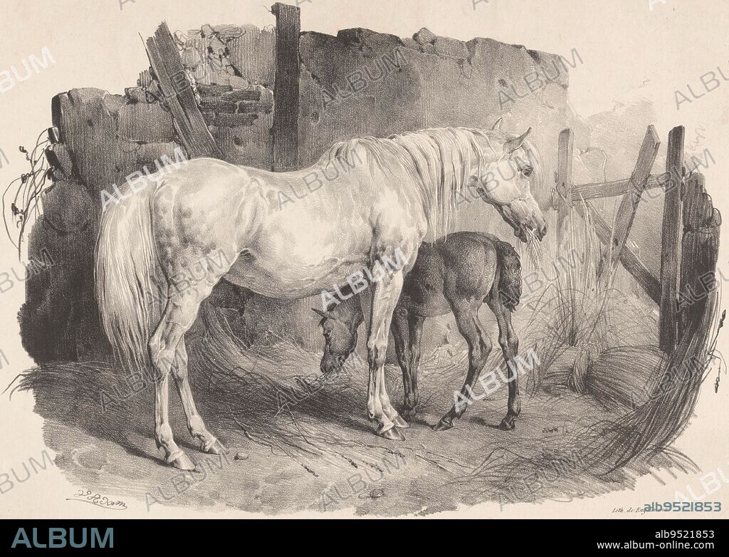 Mare Primrose and her foal, thoroughbred by the Duke of Grafton Primrose and his poulain. Jument of the race, apart from the Duke of Grafton / Primrose and his foals. Zucht Stute, dem Herzog von Grafton gehörig, Famous English horses (title series) Portraits des chevaux anglais les plus célèbres (title series), print maker: Victor Adam, (mentioned on object), James Ward, printer: Gottfried Engelmann, (mentioned on object), print maker: Paris, London, printer: Paris, publisher: Paris, 1825 - 1827, paper, h 422 mm × w 479 mm.