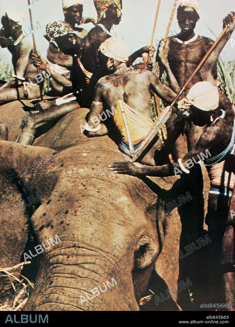 AFRICA BLOOD AND GUTS, 1966 (AFRICA ADDIO), directed by FRANCO PROSPERI and GUALTIERO JACOPETTI. Copyright CINEMASTER.