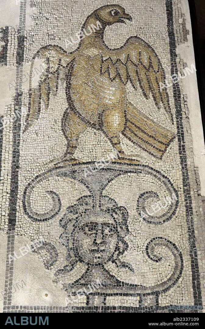 ARTE. PERIODO BIZANTINO ROMANO. Aguila y cabeza de medusa. Detalle de un mosaico que formaba parte del pavimento de la Sinagoga de Yafia, interior de Galilea.. Siglo IV. Israel. Museo Rockefeller (Museo Arqueológico). Jerusalen. Israel.