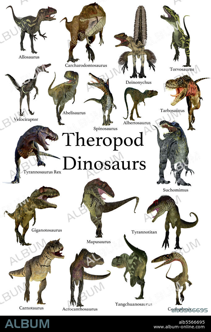 A collection set of theropod carnivorous dinosaurs from the Cretaceous, Jurassic and Triassic Periods.