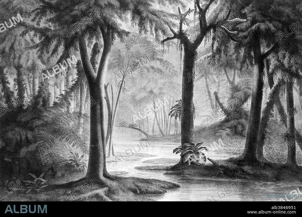 Carboniferous landscape. The fifth period of the Paleozoic Era. The Carboniferous Period spanned from about 355 million years to about 295 million years ago. The rocks that formed during this time interval are known as the Carboniferous System; they include a wide variety of sedimentary, igneous, and metamorphic rocks. Sedimentary rocks in the lower portion of the Carboniferous are typically carbonates, such as limestones and dolostones, and locally some evaporites. The upper portions of the system are usually composed of cyclically repeated successions of sandstones, coals, shales, and thin limestones. The economic importance of the Carboniferous is evident in its name, which refers to coal, the important energy source that fueled the industrialization of northwestern Europe in the early 1800s and led to the Carboniferous being one of the first geologic systems to be studied in detail. Illustration originally captioned: Carboniferous landscape by Franz Unger, 1916.