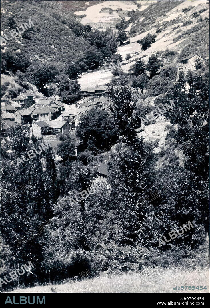 1965. Frondosa vegetación entre la que Podemos vislumbrar las Casas que Conforman el pueblo de Compludo.