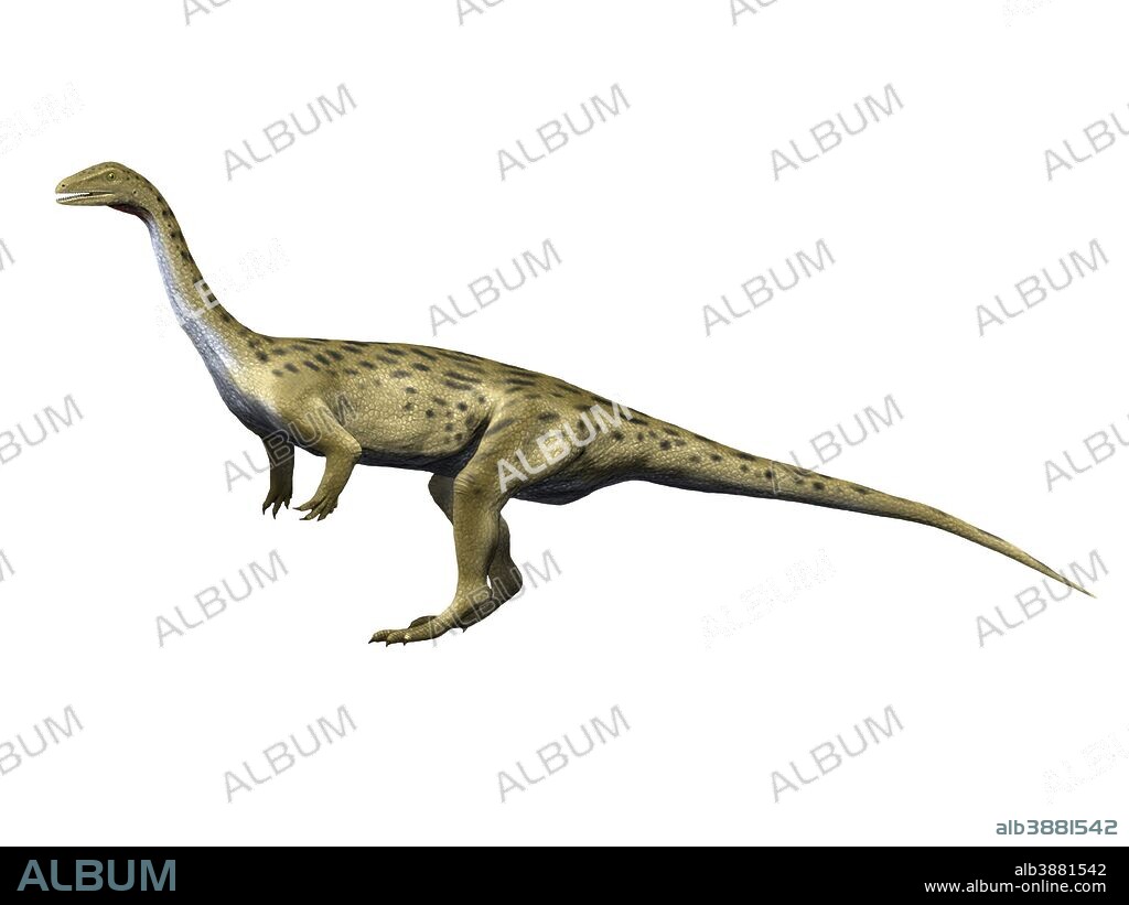 Saturnalia is a prosauropod dinosaur from the Triassic period.