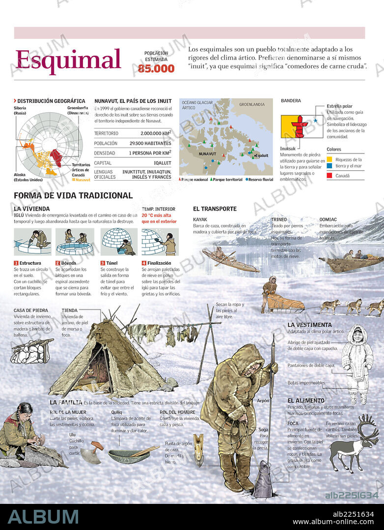 ESQUIMAL. Infografía de la forma de vida y hábitat de los esquimales  y la construcción de un iglú. Mapa del territorio independiente de Nunavut (Canadá) y sus características.