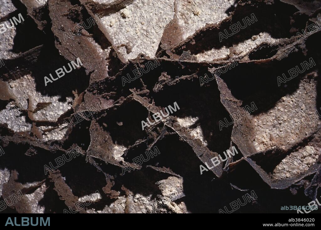 Boxwork formation in Wind Cave National Park, South Dakota.