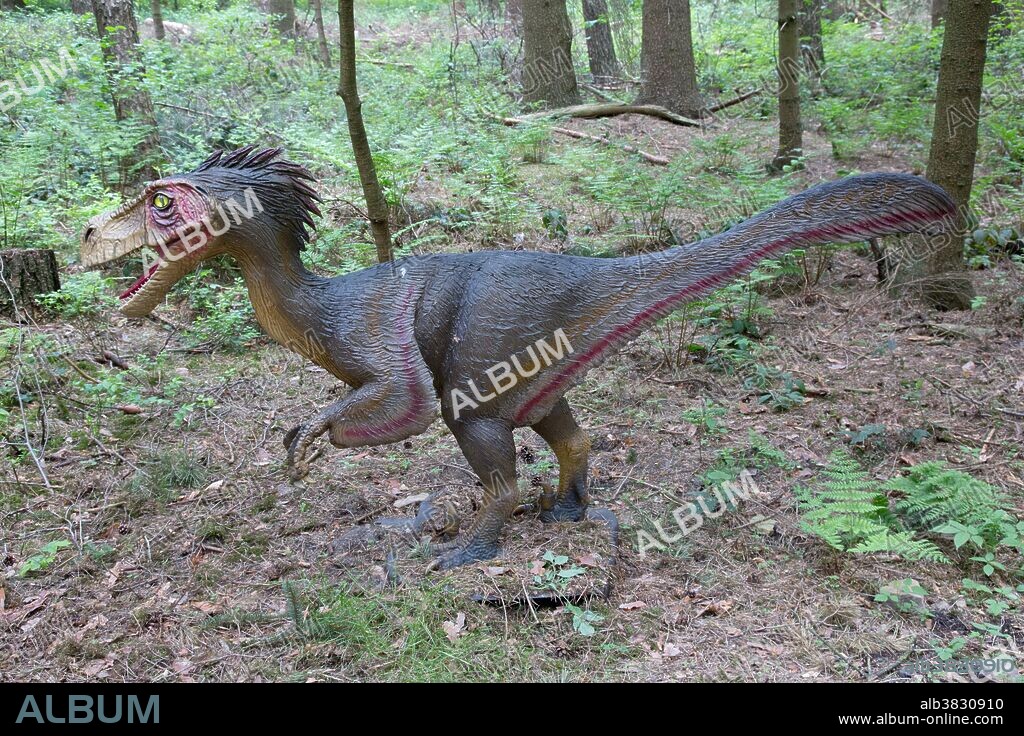 Troodon, a bird-like theropod dinosaur from the Cretaceous Period, in Dinosaurier Park, Germany.