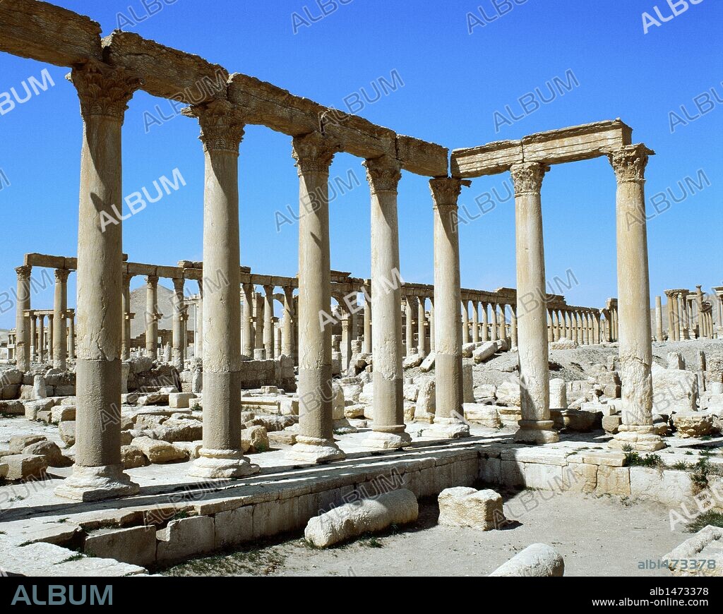 PALMIRA. Antigua ciudad, documentada ya en el II milenio. Vivió su periodo de máximo esplendor comercial bajo dominación romana (siglos I-III d. C.). Vista de las columnas petenecientes a las TERMAS DE DIOCLECIANO, construidas en el siglo IV d. C. (Oasis de Tadmor). SIRIA.