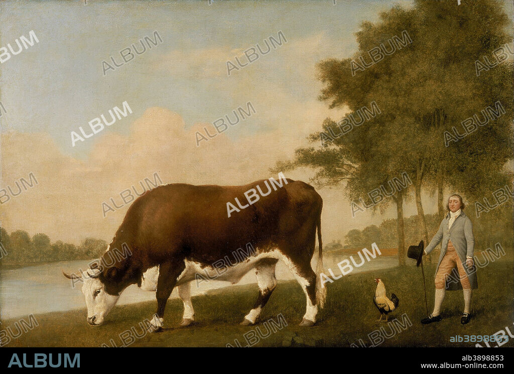 GEORGE STUBBS. The Lincolnshire Ox. Date/Period: 1790. Painting. Oil on panel. Height: 679 mm (26.73 in); Width: 990 mm (38.97 in).