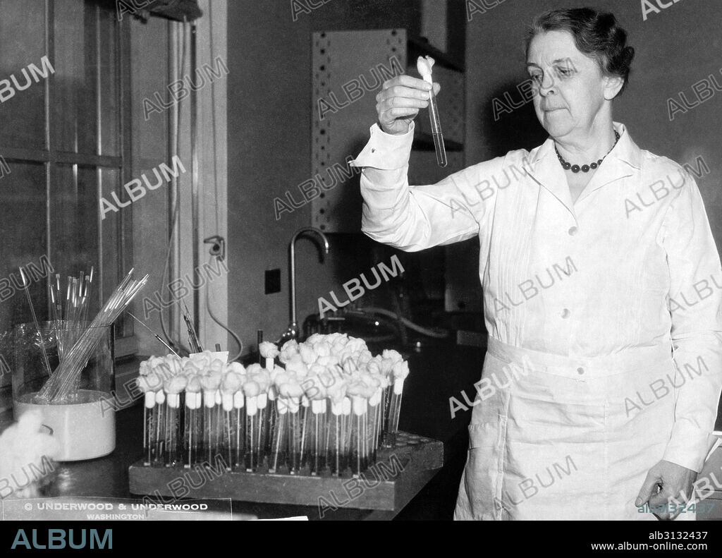 Washington, D.C.:  c. 1933 Senior bacteriologist Dr. Alice C. Evans of the U.S. Public Health Service holds up a test tube with a fresh colony of undulant fever germs for which she is seeking a cure.