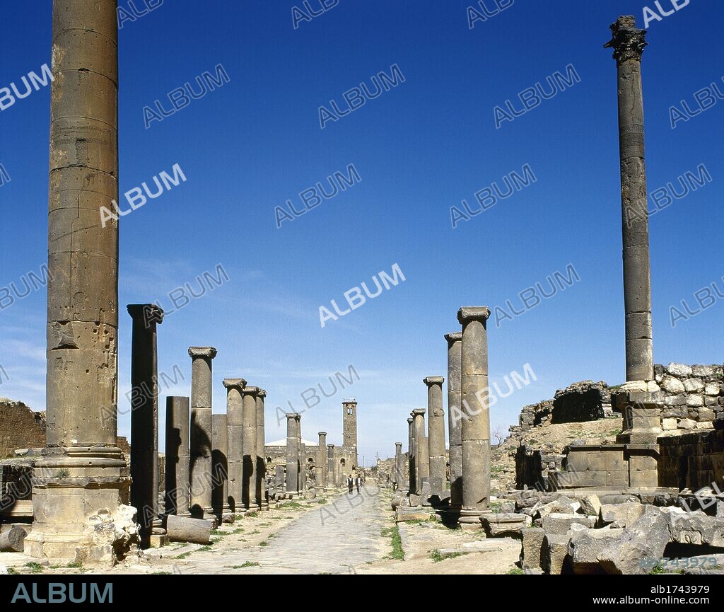 ARTE ROMANO. PROXIMO ORIENTE. BOSRA. Vista general de la antigua arteria principal de la ciudad romana o CARDO MAXIMUS, flanqueada por columnas. SIRIA.