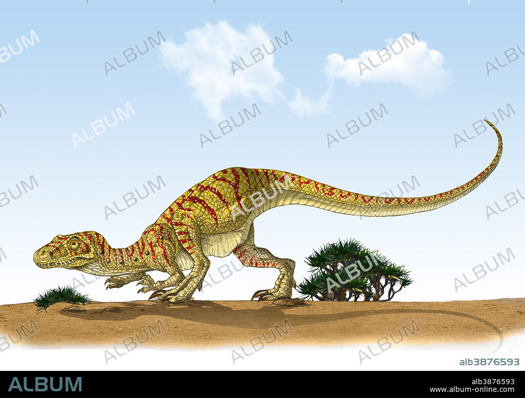 Eoraptor, one of the world's earliest dinosaurs that lived during the late Triassic Period of the Mesozoic Era.