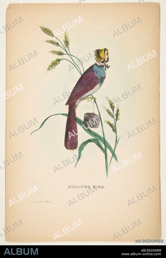 Milliner Bird (Minnie Doyle), from The Comic Natural History of the Human Race. Artist: Henry Louis Stephens (American, Philadelphia, Pennsylvania 1824-1882 Bayonne, New Jersey). Dimensions: sheet: 11 x 7 3/16 in. (28 x 18.3 cm). Lithographer: Rosenthal (Philadelphia, Pennsylvania). Publisher: Samuel Robinson (Philadelphia, Pennsylvania). Date: 1851.