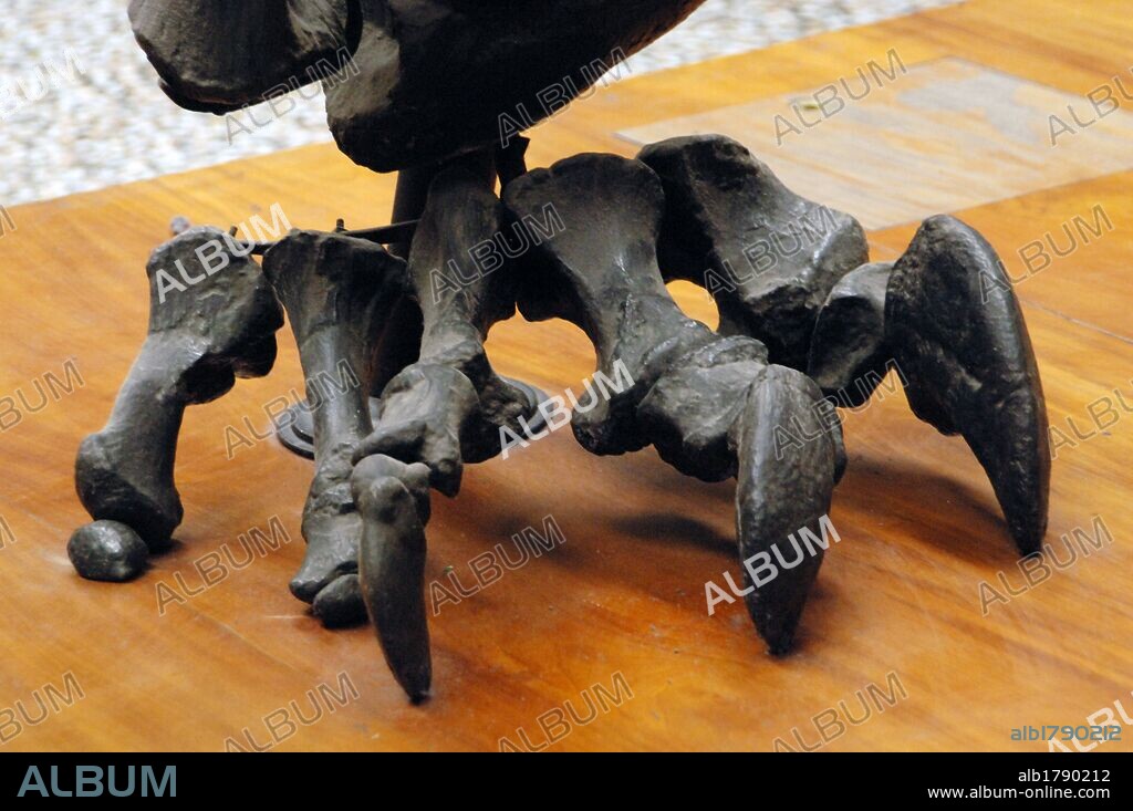 Diplodocus (Diplodocus carnegii). Leg. Detail. Upper Jurassic. 150 million years. Natural History Museum. London. United Kingdom.
