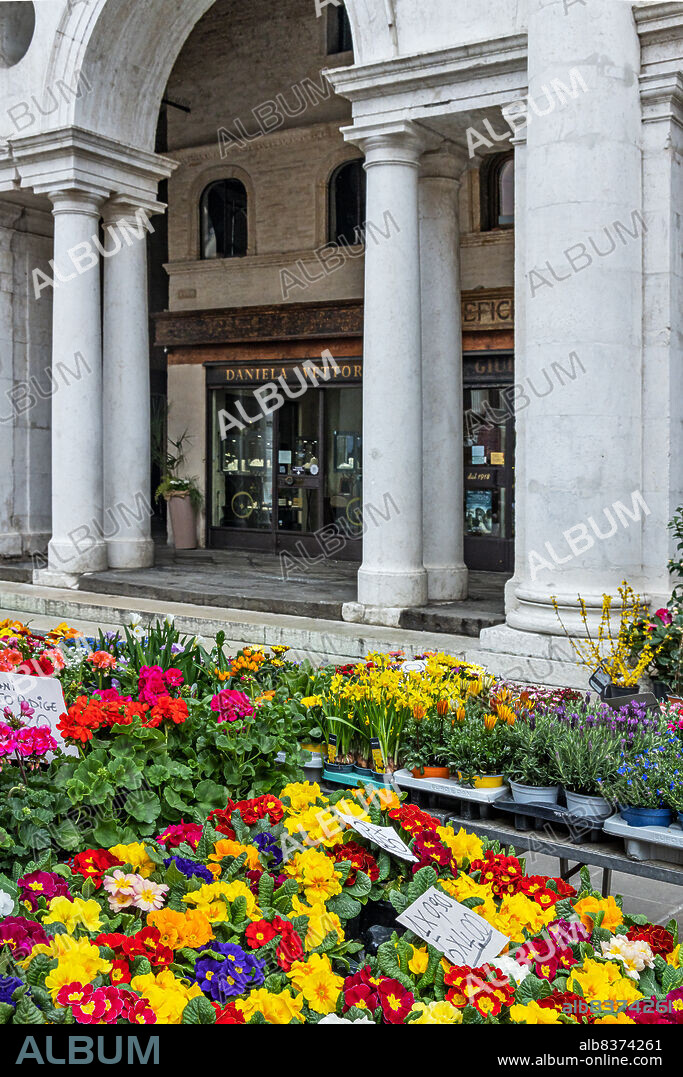 Vicenza, dei Signori Square: flower stall in front of the portico of the Palladian Basilica, where you can see the goldsmith's workshop of Daniela Vettori.