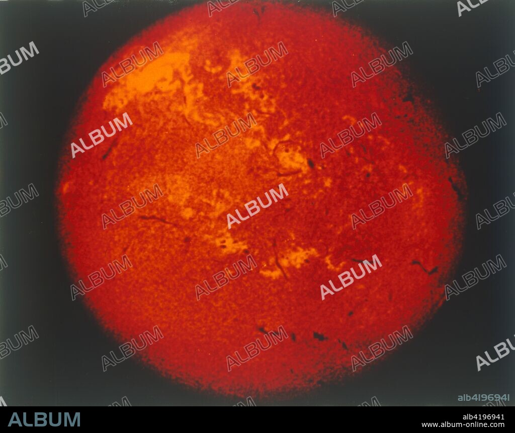 The Sun in H-alpha light. Sun in the crimson light of hydrogen alpha (h-alpha), a specific deep-red visible spectral line emitted by many emission nebulae. It can be used to observe features in the Sun's atmosphere, including solar prominences and the chromosphere.