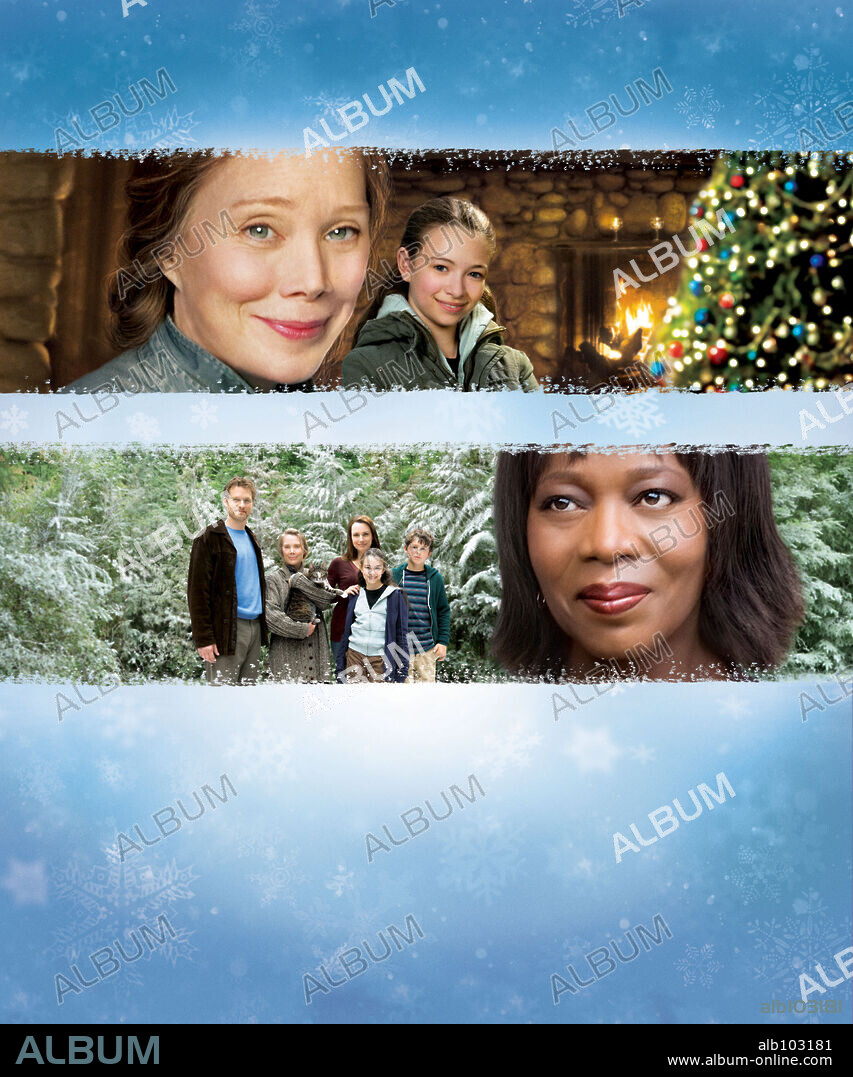 Poster of PICTURES OF HOLLIS WOODS, 2007, directed by TONY BILL. Copyright HALLMARK HALL OF FAME PRODUCTIONS.