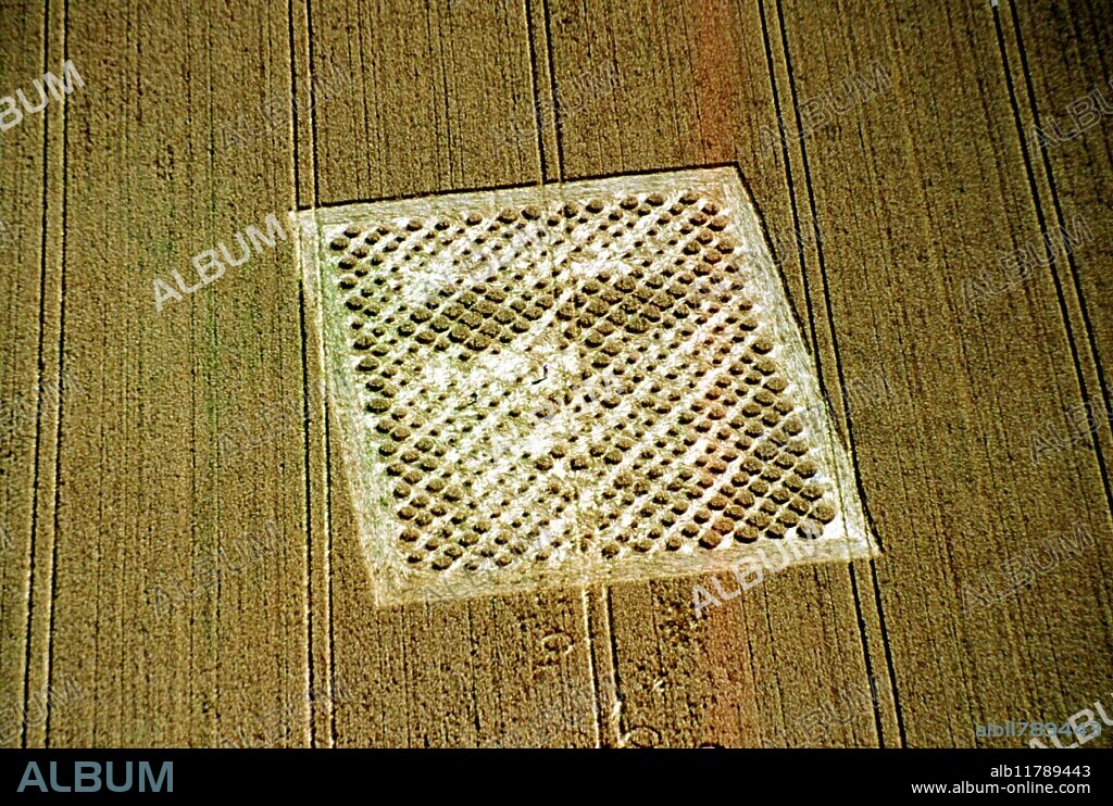 Crop circles in southern England, 2001.Humanoid face at Chilbolton, Hampshire. Crop circles are organized harmonic forms that manifest around the world, the result of an energy interacting with the physical world - in this case plants. This energy is comprised of light, sound and magnetism.