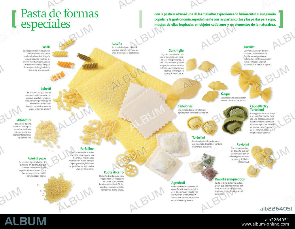 Special shape pastas. Infographics about the different Italian pasta types with special shapes.