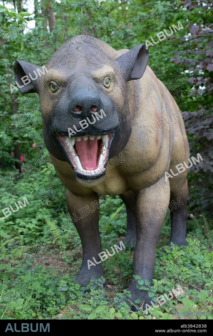 Hyaenodon, an extinct carnivorous mammal from the Eocene Epoch, in Dinosaurier Park, Germany.