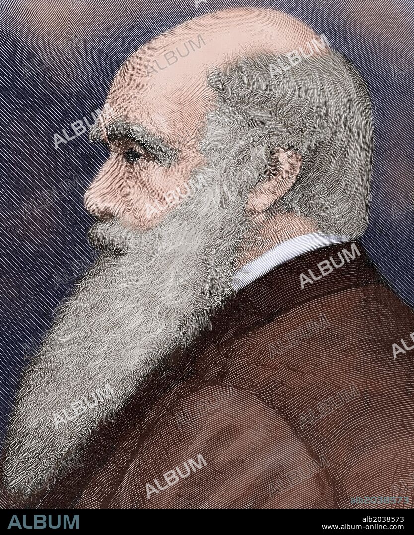 CHARLES ROBERT DARWIN (1809-1882). Naturalista británico. Autor de la obra 'El origen de las especies', publicada en el año 1859. Grabado coloreado.