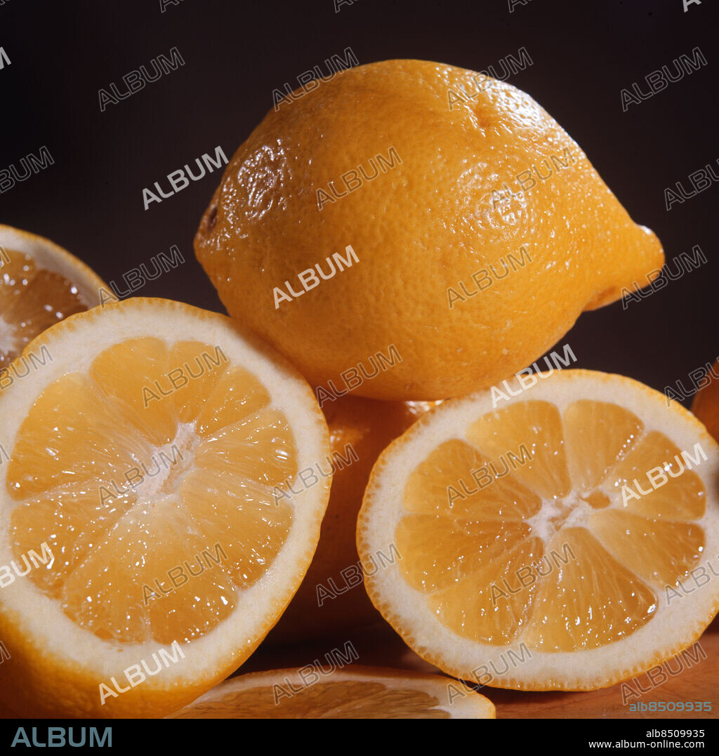 1973.. DE FEM SINNENA Bild tagen inför reportage i RiR 42/73 om faktaprogrammet De fem sinnena - del 4: Smaken, sänt 1973-10-13 Citroner Citrusfrukter Surt Smaksinnet CD563 sites: SVERIGE.
