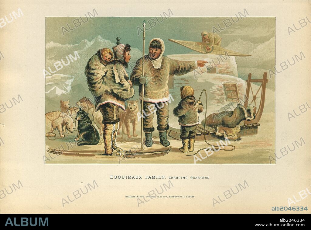 Esquimaux family, Eskimos (or Esquimaux) or Inuit-Yupik (for Alaska: Inupiat-Yupik) peoples are indigenous peoples who have traditionally inhabited the circumpolar region from eastern Siberia (Russia), across Alaska (United States), Canada, and Greenland.