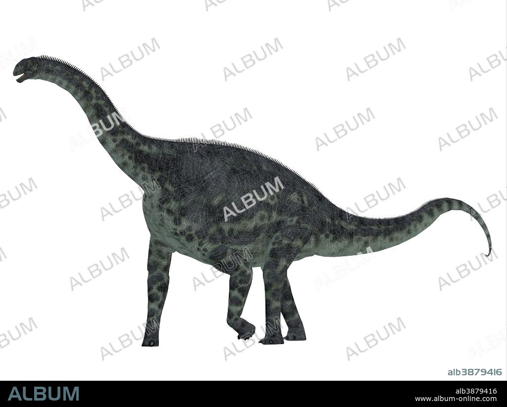 Cetiosaurus dinosaur, side profile. Cetiosaurus was a herbivorous sauropod dinosaur that lived in Morocco, Africa during the Jurassic Period.