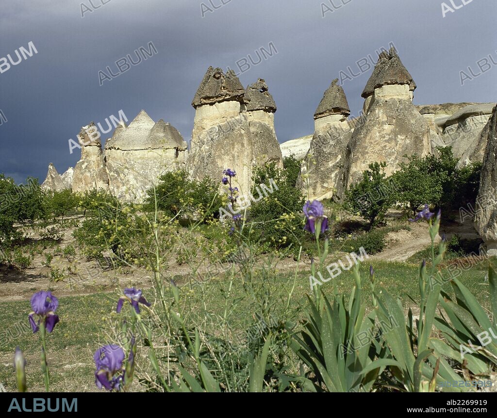 TURQUIA. VALLE DE PASABAGLARI. Vista de las famosas"CHIMENEAS DE LAS HADAS", conos naturales formados por la erosión del agua y del viento. Región de La CAPADOCIA. Península Anatólica.