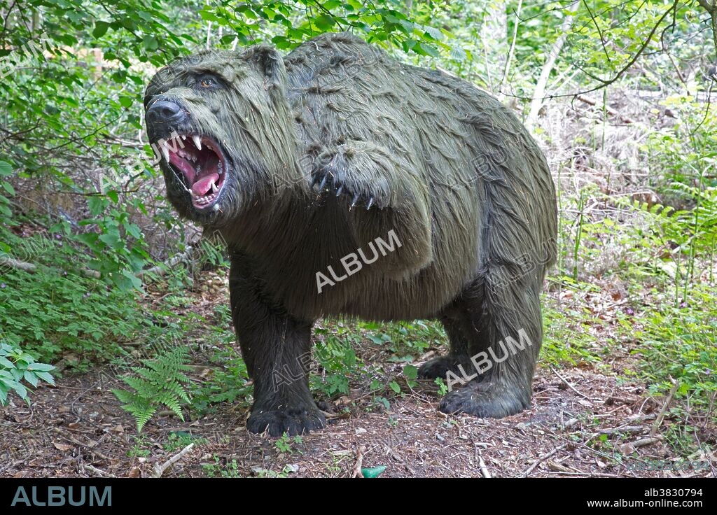 Extinct cave bear (Ursus spelaeus) lived in Europe during the Pleistocene and died out around 27,000 years ago. This replica is in Dinosaurier Park, Germany.