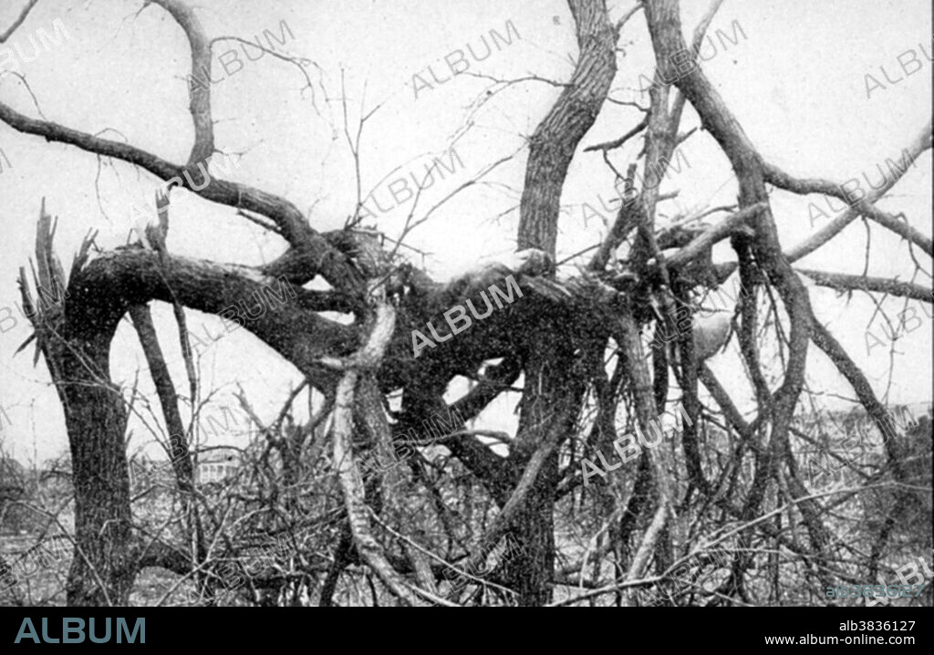 A tornado victim at Omaha found in a tree. It is possible that this was a posed shot as the victim is relatively clean and there are no apparent tears in his clothes. Omaha, Nebraska, March 23, 1913. A tornado is a violent, dangerous, rotating column of air that is in contact with both the surface of the earth and a cumulonimbus cloud or, in rare cases, the base of a cumulus cloud. They are often referred to as a twister or a cyclone, although the word cyclone is used in meteorology in a wider sense, to name any closed low pressure circulation. Tornadoes come in many shapes and sizes, but are typically in the form of a visible condensation funnel, whose narrow end touches the earth and is often encircled by a cloud of debris and dust. Most tornadoes have wind speeds less than 110 miles per hour (177 km/h), are approximately 250 feet (80 m) across, and travel a few miles (several kilometers) before dissipating. The most extreme tornadoes can attain wind speeds of more than 300 mph (480 km/h), stretch more than two miles (3 km) across, and stay on the ground for dozens of miles (more than 100 km).