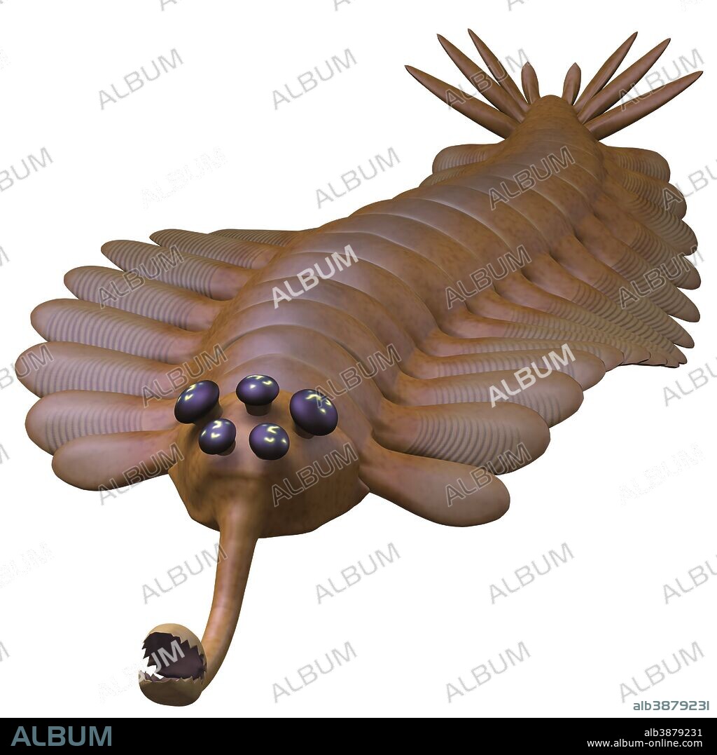 Opabinia is a small predator of Cambrian seas and hunted worms and soft bodied prey with its proboscis.