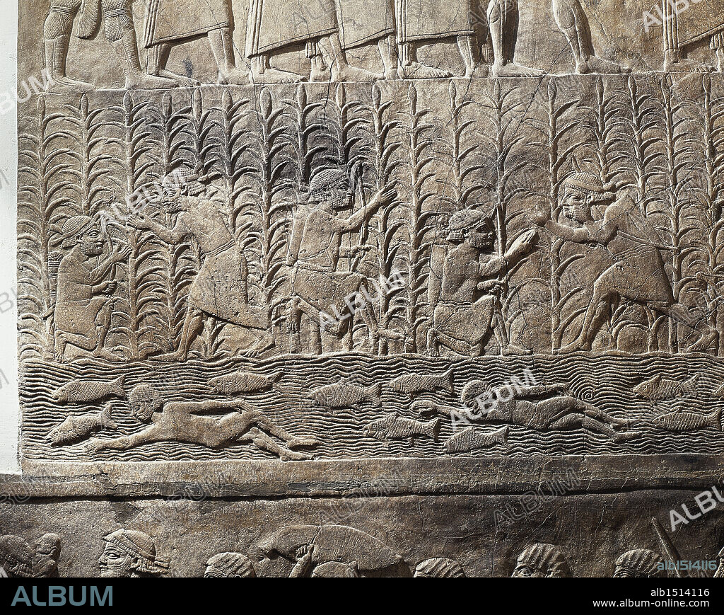 Assyrian civilization, 7th century b.C. Scene of agricultural work and swimmers in a river. Relief from Royal Palaces of Nineveh, circa 645 b.C.
