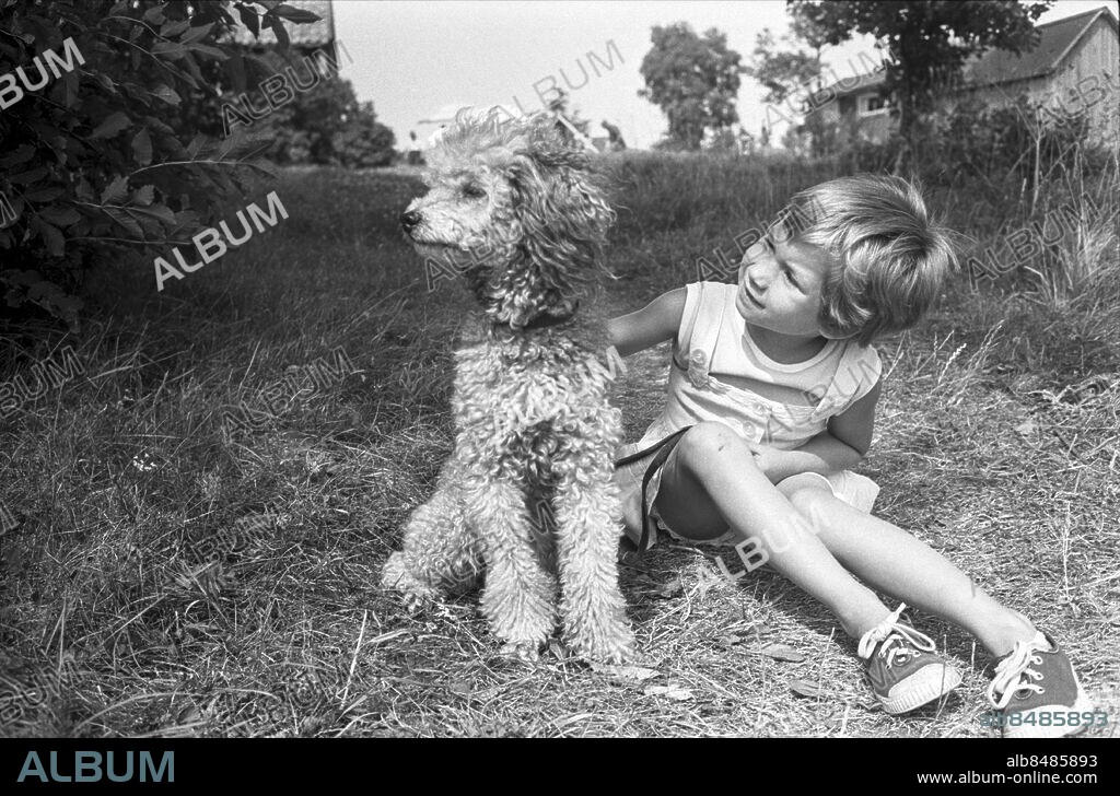 VI PÅ SALTKRÅKAN TV-serie av Astrid Lindgren i regi av Olle Hellbom Sänt första gången 1964-01-18 Kristina Jämtmark (Stina) med en hund Inspelningsbilder juli 1963 Pudel Pudlar RIR 16899 sv/v neg Foto: Ulf Stråhle / SVT / Kod: 5600 persons: KRISTINA JÄMTMARK sites: SVERIGE.