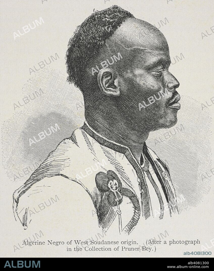 FRIEDRICH RATZELL. A profile of an Algerine Negro of West Sudanese origin. The history of mankind / Trans from the second German edited by A. J. Butler. v. 3, 1898. [S.l.] : Macmillan, 1896-1898. Source: 572*3343* vol III, f.302 detail. Language: English.