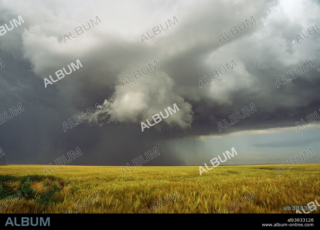 A scud cloud forms beneath a severe thunderstorm in central Kansas. Scud clouds are low, ragged clouds that form below the cloud base, often in the vicinity of rainshafts.