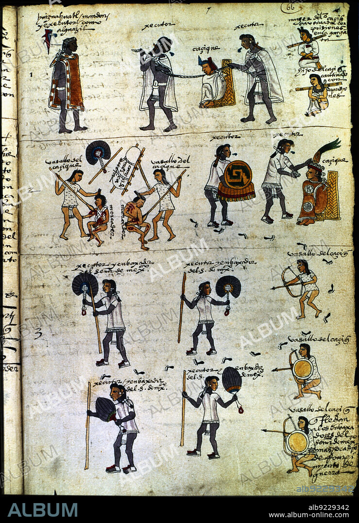Codex of Medicine of Frederick II - Ziereis Facsimiles