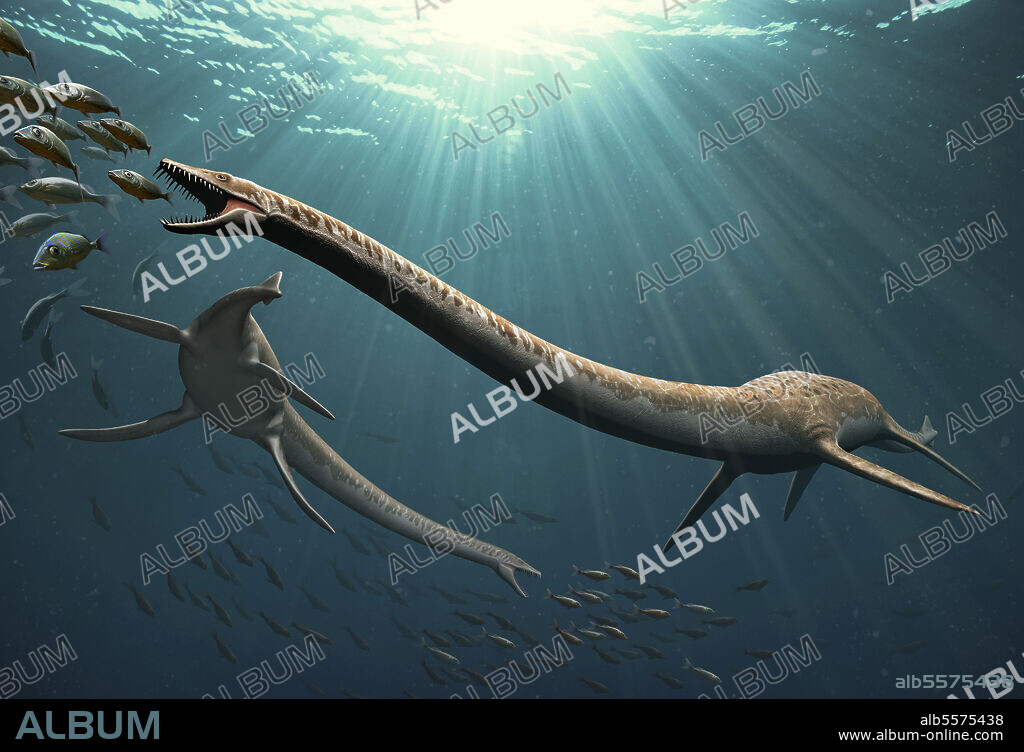 Two Elasmosaurus aquatic reptiles fishing under the Late Cretaceous sea.