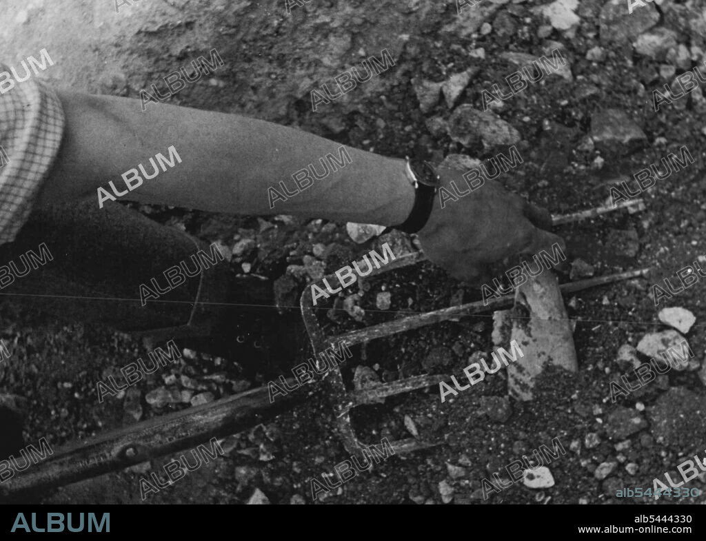 Digging Up A Roman -- The fork turns up a clue. In the crumbly chalk, a foot underneath the surface, they find broken pottery and the jawbone of a horse. April 24, 1953. (Photo by Paul Popper).