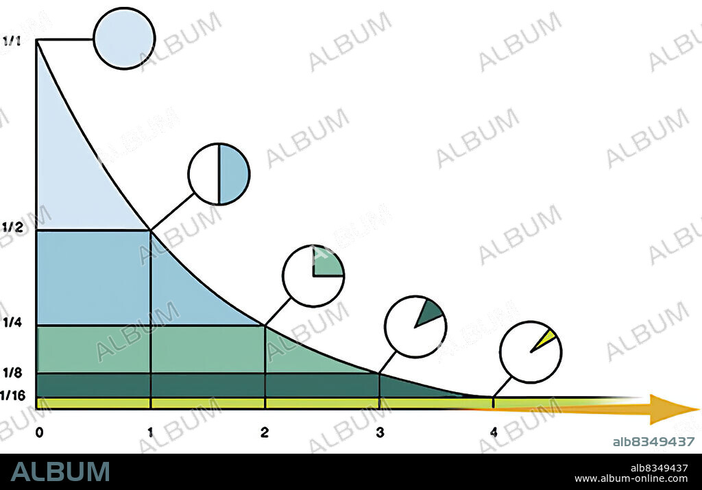 Absolute dating (or radiometry), based on the principle of disintegration of certain radioactive elements, establishes the age of fossils. Carbon 14 (C14) dating is the best known, as carbon is an element found in every living organism. Because organisms contain C14 and C12 in a proportion that is stable and C14 begins to disintegrate at a steady rate when organisms die, the amount of time since a plant or animal has died is measured by establishing the proportion of C14 remaining in relation to the C12.