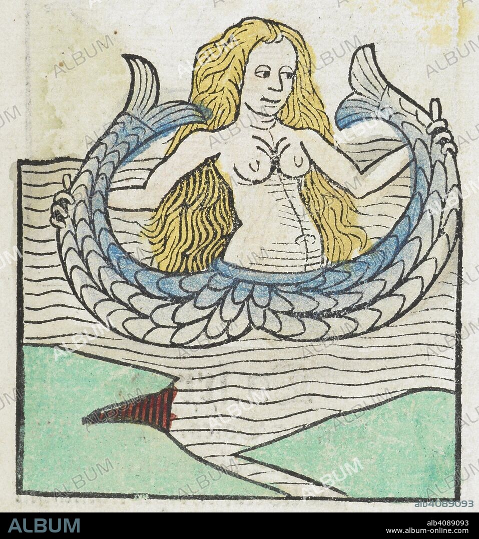 The siren. Ortus Sanitatis. De herbis et plantis. De animalibus ï€ reptilibus. De Avibus et volatilibus. De Piscibus ï€ natatilibus. De Lapidibus ï€ in terre venis nasceÌ„tibus. De Urinis et earï€Ž specibus. Tabula medicinalis Cum directorio generali per omnes tractatus. [In Latin: commpiled chiefly from the German â€œHortus Sanitatisâ€ of J. von Cube; with many woodcuts. Moguntia : Jacobus Meydenbach, 1491. Source: IB.344, f.353.