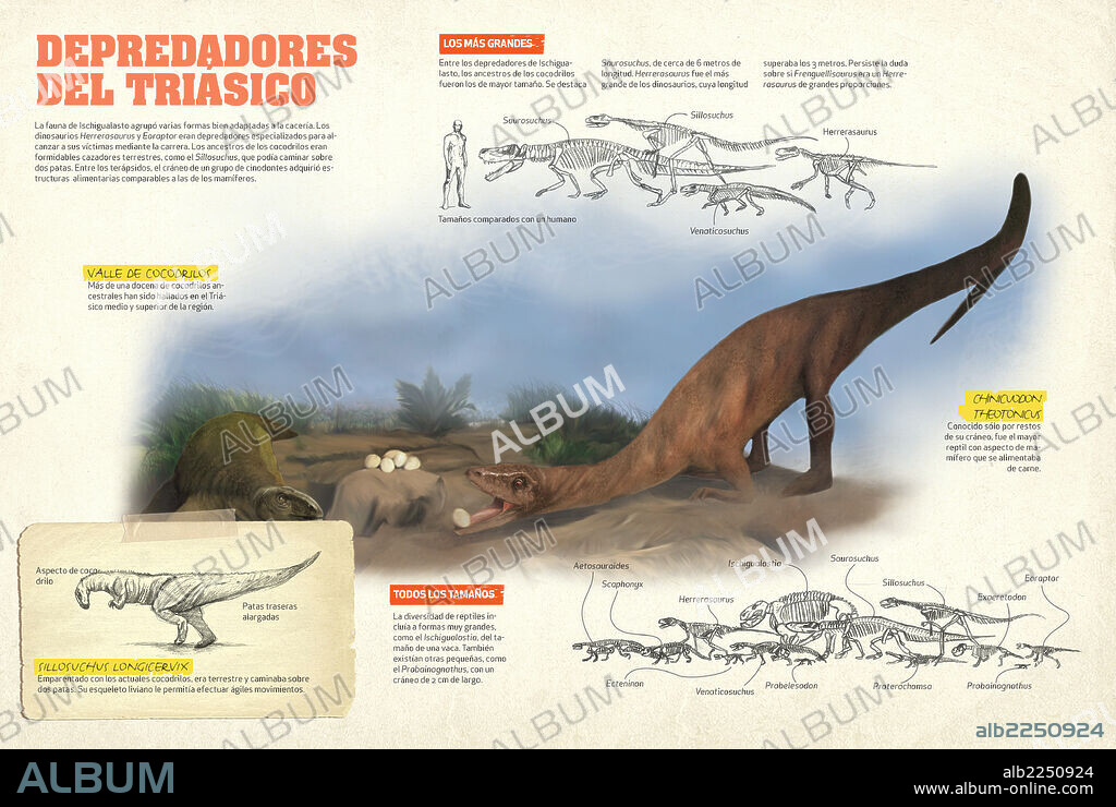Depredadores del Triásico. Infografía que presenta la fauna que habitaba la formación Ischigualasto, en Argentina, uno de los yacimientos fósiles más completos del Triásico, era Mesozoica.