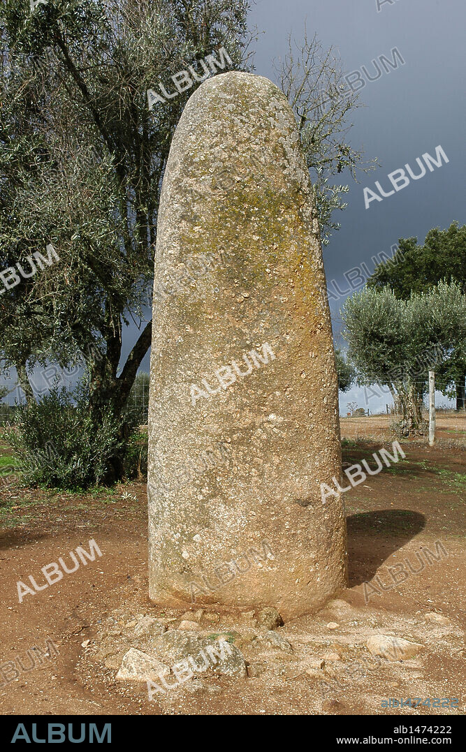 ARTE PREHISTORICO. NEOLITICO. PORTUGAL. MENHIR DOS ALMENDRES. Se accede por un pasillo entre alcornoques, encinas y olivos que pertenecen a la hacienda agraria que le da nombre. Pesa unas 12 toneladas y se eleva a 3,5 m. del suelo. EVORA. El Alentejo.