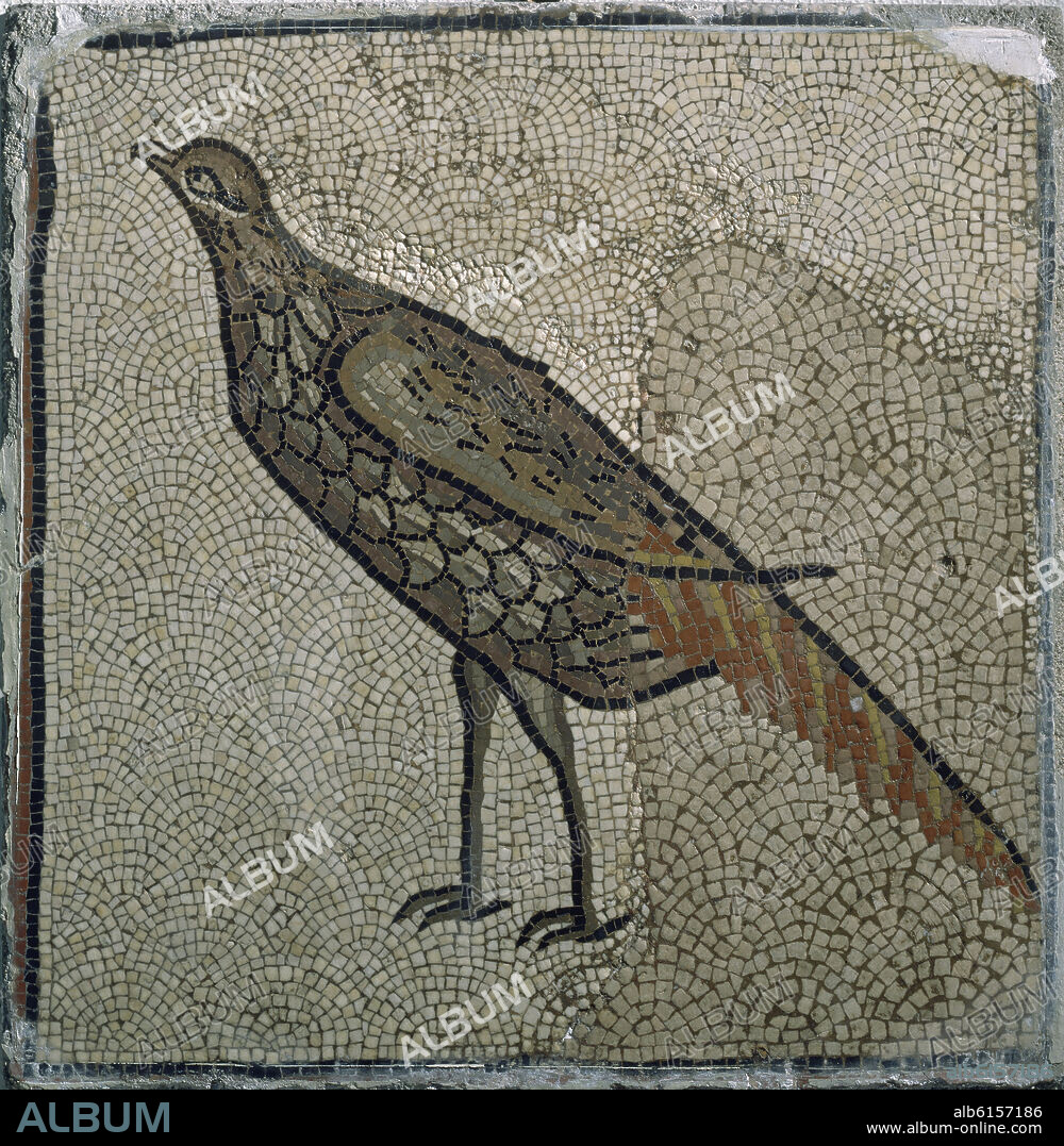 FAISAN DEL MOSAICO DE QUINTA DE MARCO (LEON).