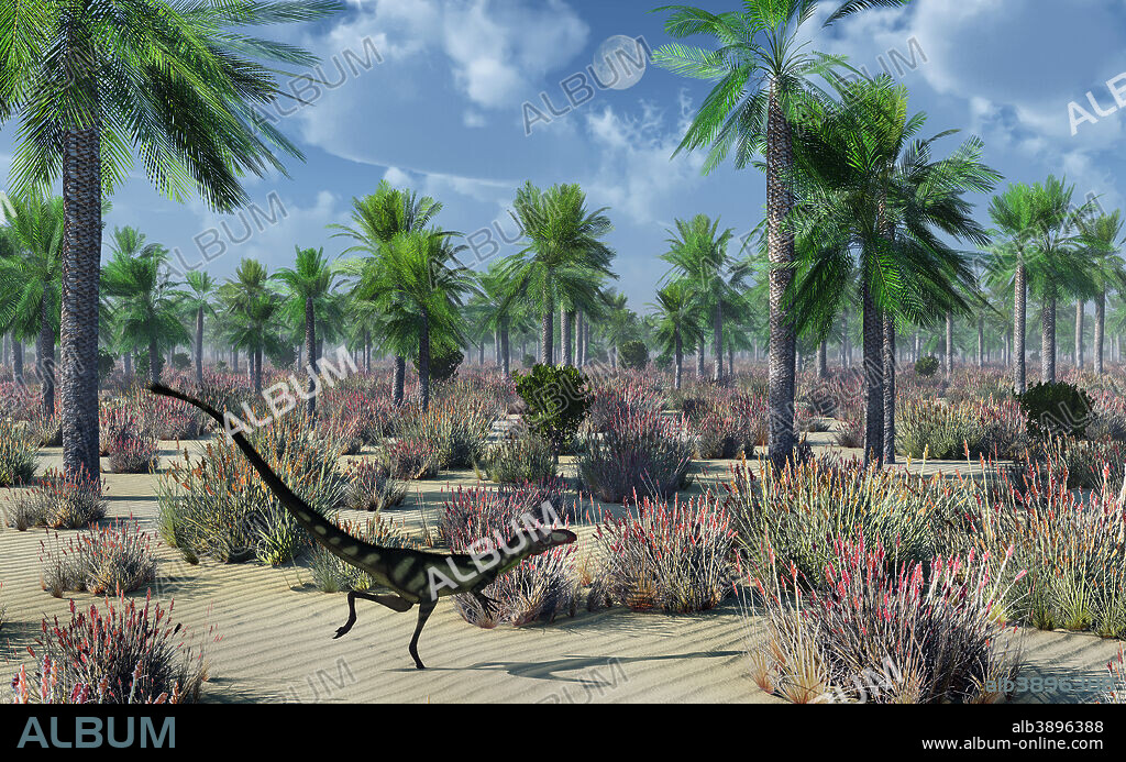 A Dilong dinosaur, the smallest member of the tyrannosaurid family.