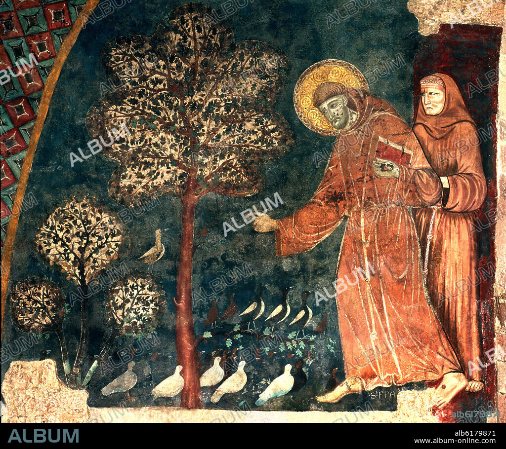 CIMABUE. SAN FRANCISCO PREDICANDO A LOS PAJAROS - 1277/1281 - FRESCO - GOTICO ITALIANO - DUOCENTO.